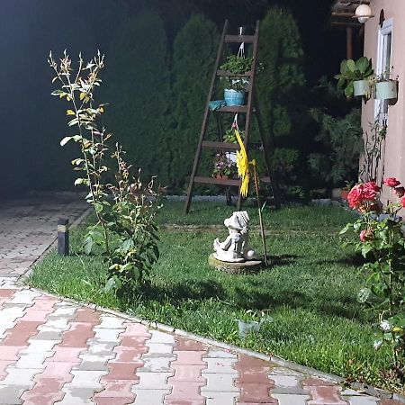 Apartament Casa Ella Sighișoara Zewnętrze zdjęcie