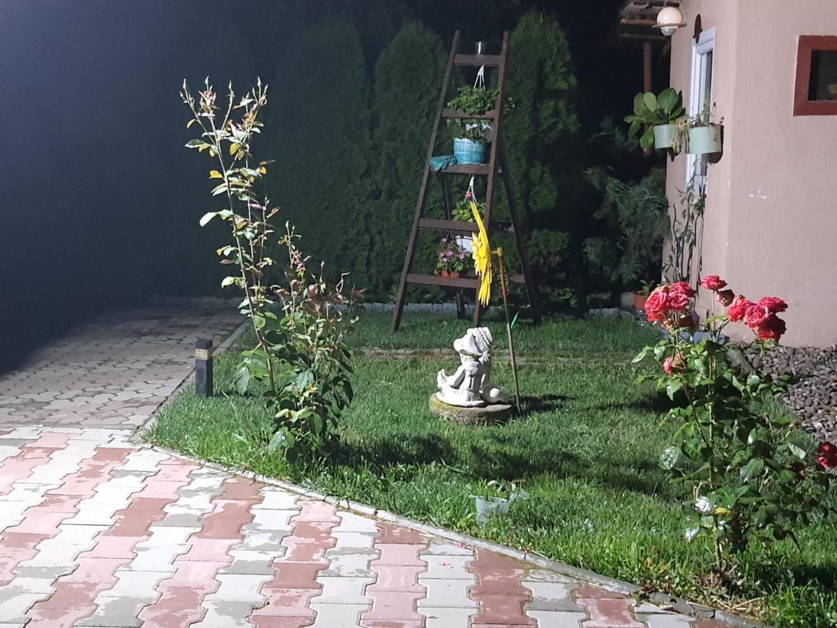 Apartament Casa Ella Sighișoara Zewnętrze zdjęcie